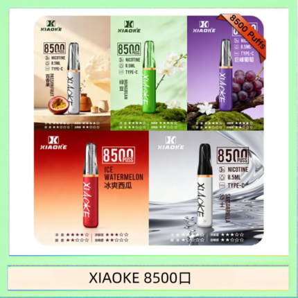 梟客XIAOKE一次性電子菸拋棄式8500口